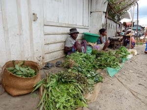 Heilpflanzen Madagaskar Antalaha PRIORI Reisen