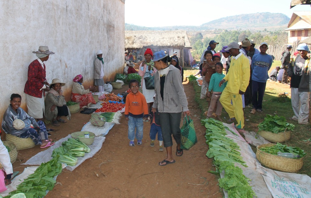 Yamswurzel in Madagaskar 