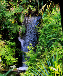 Masoala National Park - Cascade