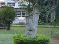 Madagascar_Institut_Pasteur04